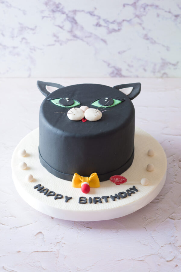 Kue Ulang Tahun Kucing​