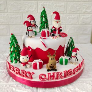 Seasonal Christmast Cake