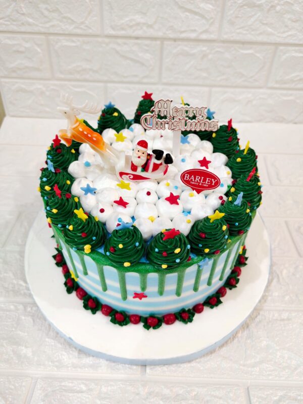Seasonal Christmast Cake - Image 4